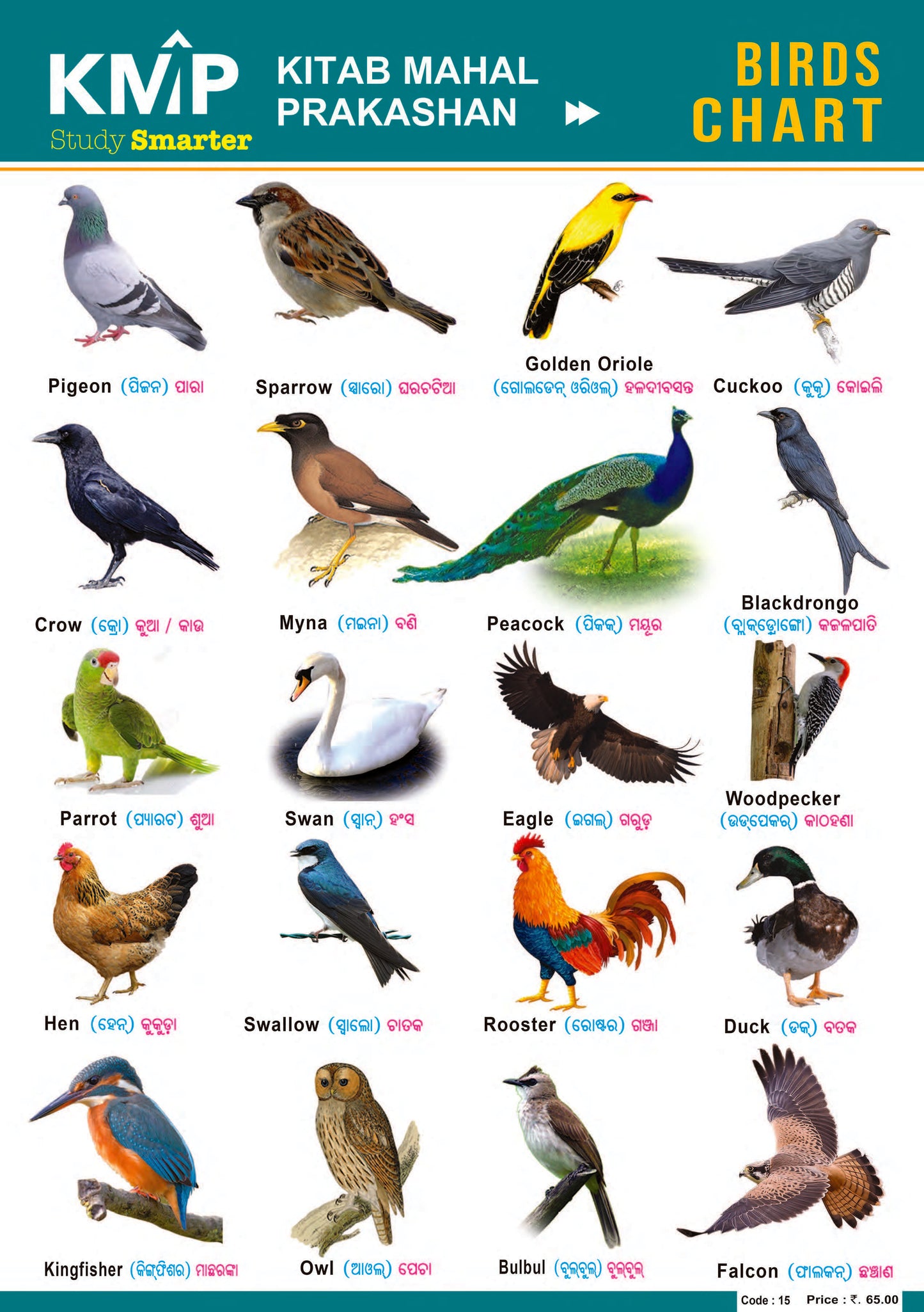 KMP CHARTS - BIRDS