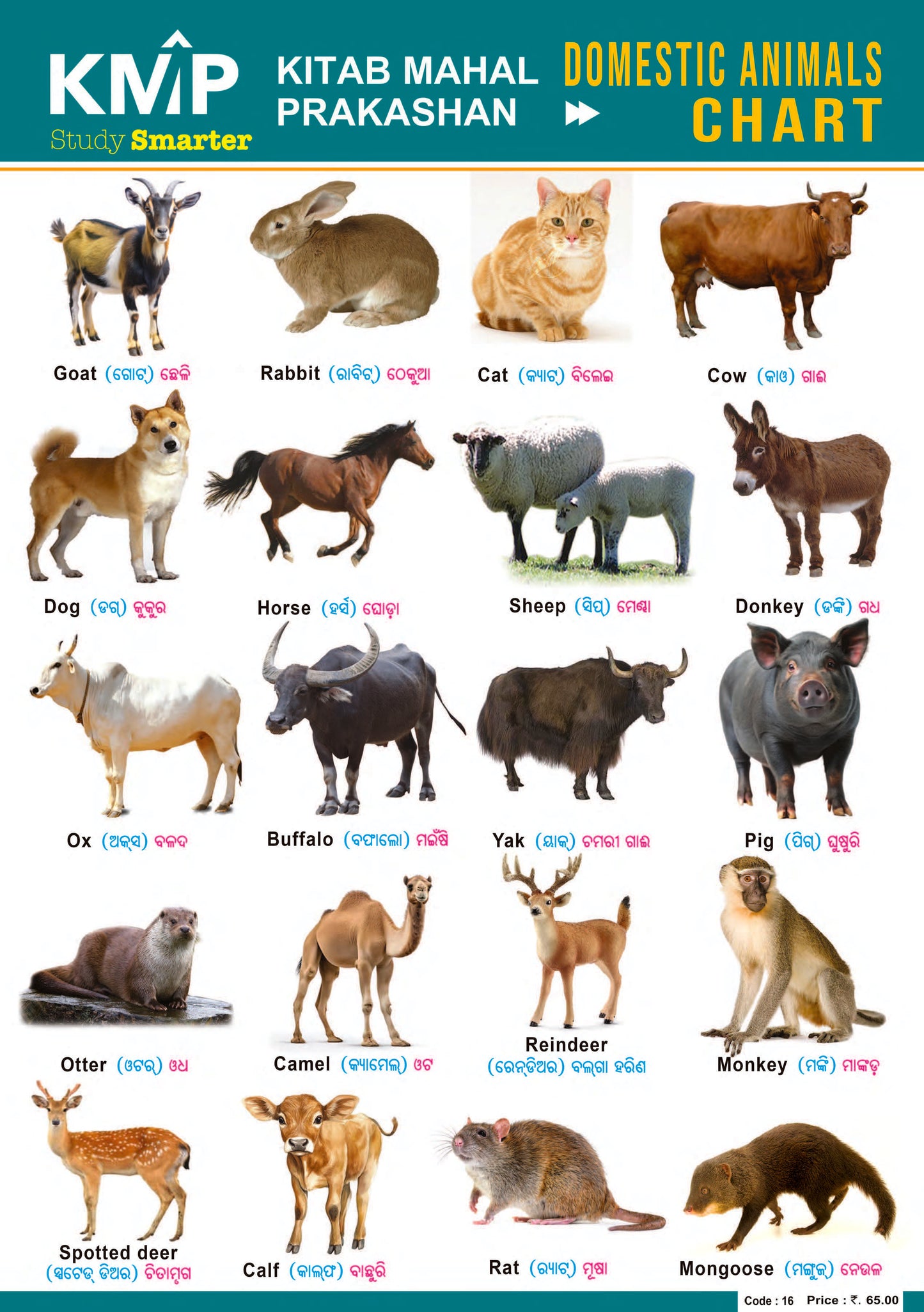 KMP CHARTS - DOMESTIC ANIMALS