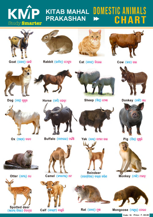 KMP CHARTS - DOMESTIC ANIMALS