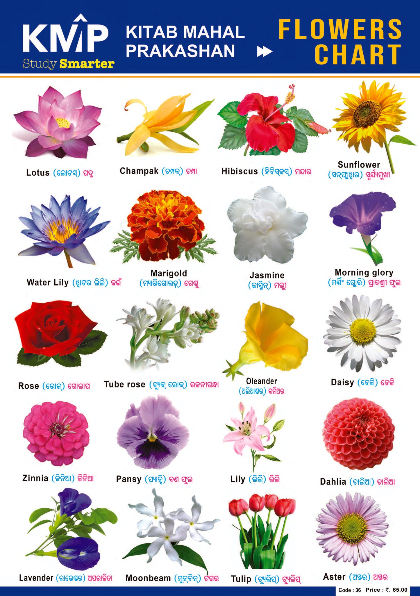 KMP CHARTS - FLOWERS