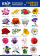 KMP CHARTS - FLOWERS