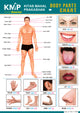 KMP CHARTS - HUMAN BODY