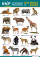 KMP CHARTS - WILD ANIMALS